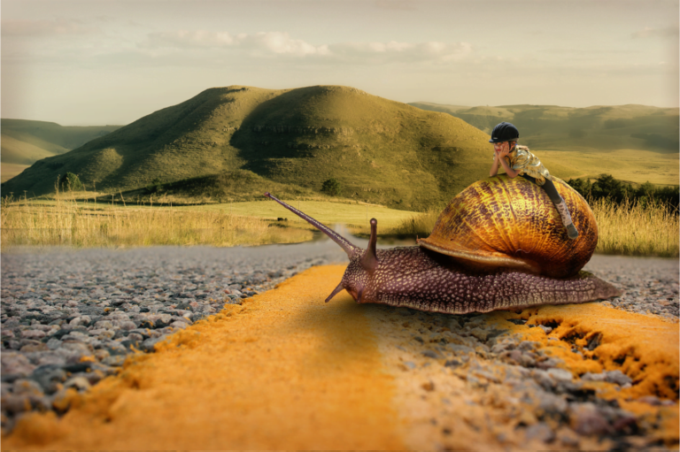 Bradifemia Fala Lenta